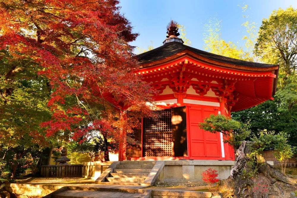 9 atrações imperdíveis para viagem no Japão