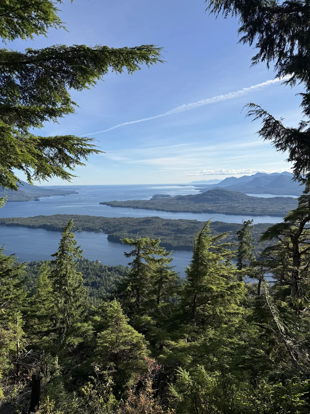 Canal do Inside Passage cercado por floresta e montanhas