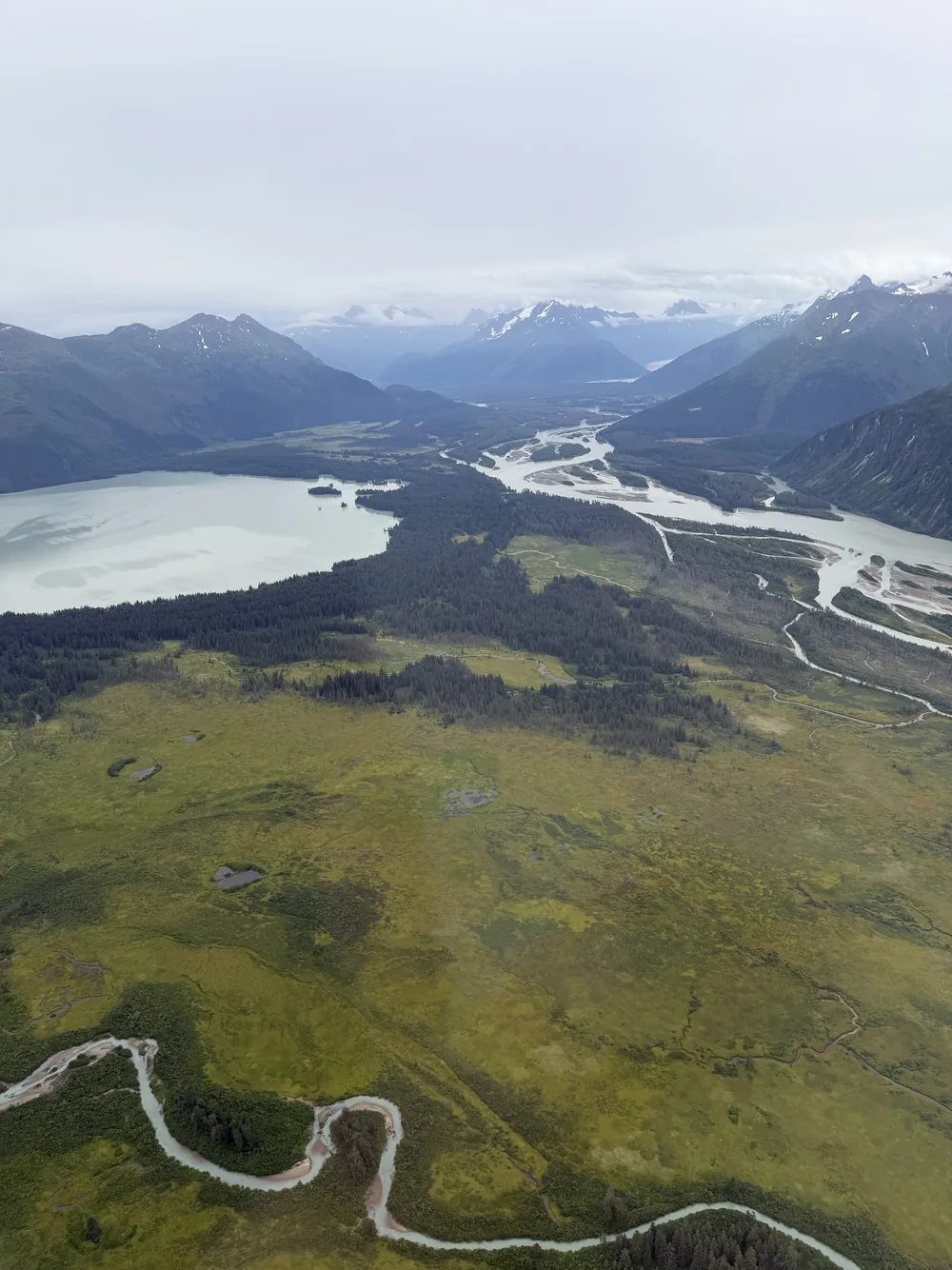 Montanhas e geleiras do Juneau Icefield vistas do hidroavião